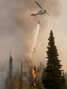 The Springs Fire, Banks-Garden Valley, Idaho, Boise National Forest, August, 2012. Photo by Kari Greer.