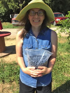 It took only 25 minutes for Jill Price to pick a gallon of blueberries at a local farm. Photo by Susan Drinkard.