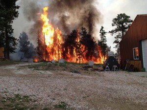 Flames race up a hillside surrounded by homes on the High Park Fire. Photo by the author.