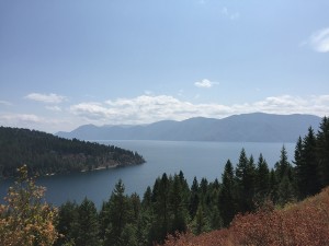Overlooking Garfield Bay. Photo by Ferris McDaniel.