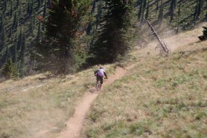 A mountain biker rallies down the trail at Schweitzer. Photo by Ben Olson.