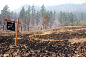 A real estate sign is spared across a charred slope on Cape Horn Road. Photo by Ben Olson.