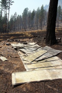 The remains of a structure on Cape Horn Road. Photo by Ben Olson.