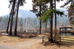 Site of a structure that was destroyed. Photo by Ben Olson.