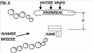 windbreak2
