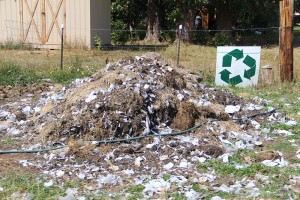 A pile of almost decomposed dirt from one year ago. Photo by Ben Olson.