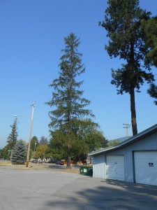 SeniorCenter_WEB