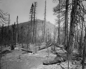 The aftermath of the Sundance Fire in 1967. Photo by Chuck Peterson, used by permission from Bonner County Historical Society.