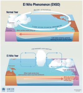 The El Niño Phenomenon explained. During a normal year, equatorial winds gather warm water and pool it toward the west, creating cold water off the coast of South America. During an El Niño year, easterly winds weaken and warm water moves to the eastward, creating the potential for a warmer winter in North America. Diagram courtesy of ENSO.