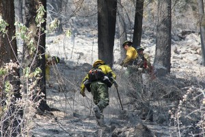A crew of hotshots from Montana mop up at Cape Horn Fire in July, 2015. Photo by Ben Olson.