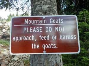 Seriously though… don't feed the goats!