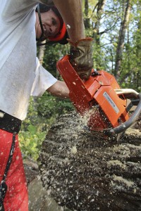 Larry Davidson cuts a fallen log on the Pend d'Oreille Bay Trail. Photo by Ben Olson.