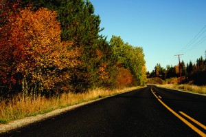 Dufort Road is a great scenic drive to check out fall colors. Photo by Ben Olson.
