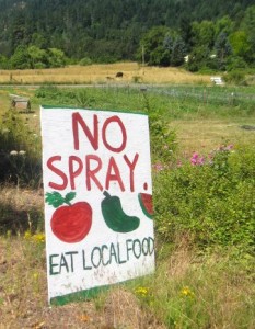 A handmade "NO SPRAY" sign outside an organic farm.
