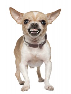 Grrrr.