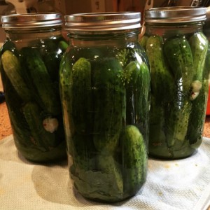 Pickles-WEB