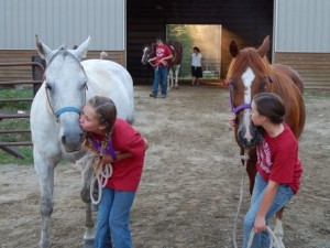 child-horse-show-entrance
