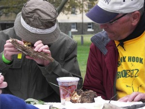 Citizen scientists catalogue various species. Photo courtesy of American Littoral Society.