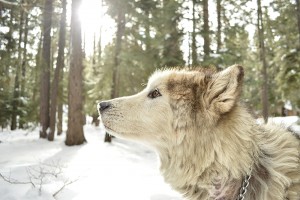 Photo by Cam Adams.