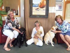 Dyno Wahl, Porter, Tamara Verby, Sir George Michael III, Drake, Carol Winget.