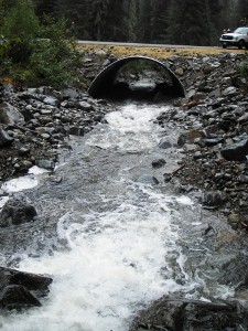 The new 25-foot width by 13-foot tall Quartz Creek Arch culvert taken in 2014. Photo by Kevin Davis.