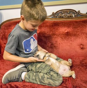 Lou Foust plays with Rosie, one of the puppies hanging out at Panhandle Animal Shelter. While Rosie has recently been adopted, PAS has plenty of other dogs that could be perfect for your home. Photo by Cameron Barnes.