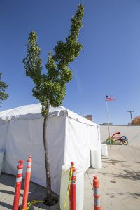 A mysterious white tent covers the Solar Roadways demonstration project during construction at Jeff Jones Town Square. Photo by Cameron Barnes.