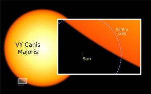 A size comparison between VY Canis Majoris and our sun. Yeah, that little tiny dot is the sun (with the Earth’s orbit outlined in dotted line. Courtesy photo.