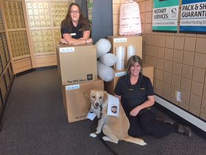 Drake, center, pals around with Jaime Meichtry, left, and Mindy Berry, right, at the UPS Store in Sandpoint.