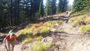 Trail volunteers work on the Watershed Crest Trail. Photo by John Monks.