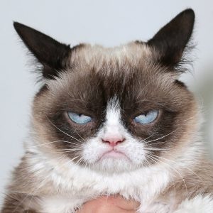 Don't talk to me...