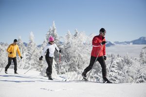 nordic-web