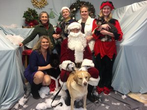 The Pooch Parlor team: Top (left to right): Kem Tonseth, Crystal McLeish, Julia Baillod, Julia Baillod. Bottom: DuAnn Chambers, Santa Claus and Drake.
