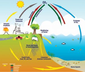 A graph showing the various human and natural causes to climate change on earth. Courtesy graphic.