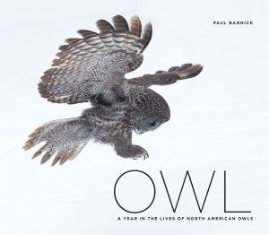 "Owl: A Year in the Lives of North American Owls," by Paul Bannick.