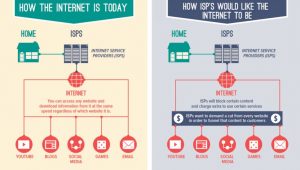 NetChart-WEB