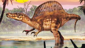 The spinosaurus, cruising for a meal. Courtesy image.